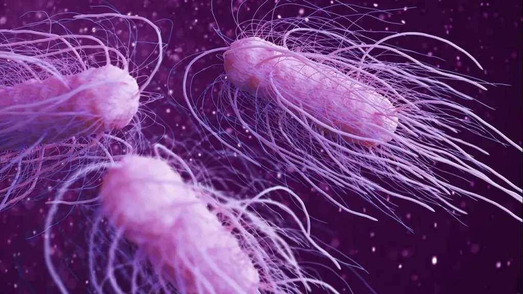 ارتفاع مقلق.. إصابات السالمونيلا في إنجلترا تصل إلى ذروة جديدة منذ عقد