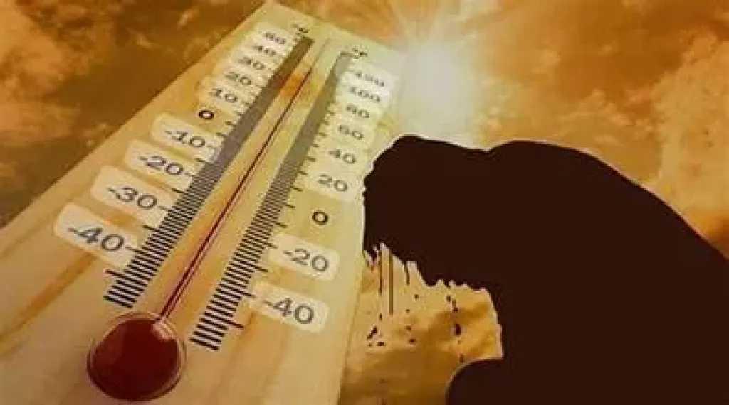 الأخبار