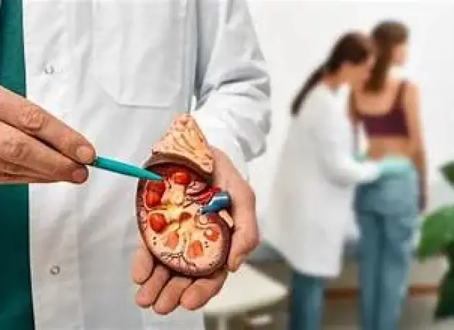 6 عادات يومية للوقاية من أمراض الكلى والحفاظ على وظائفها الحيوية