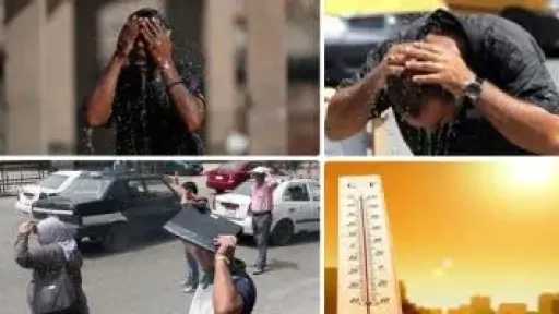 الأخبار