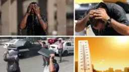 الأخبار