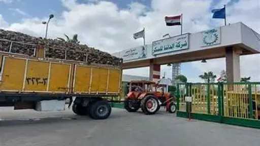 الاقتصاد