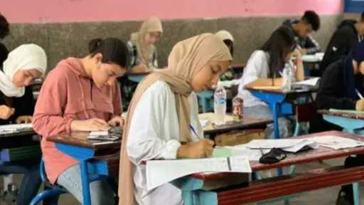 الأخبار