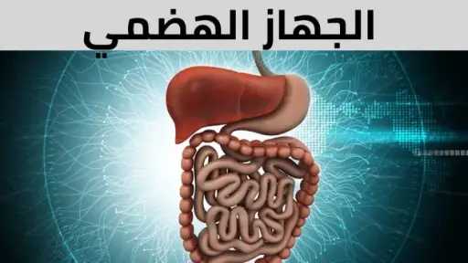 المرأة والصحة