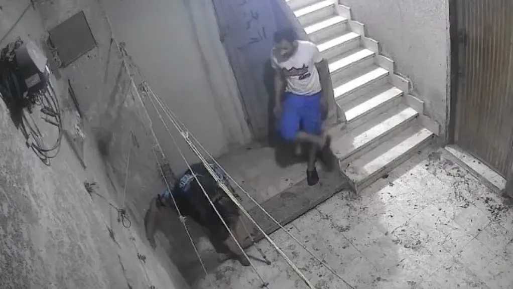 الأخبار