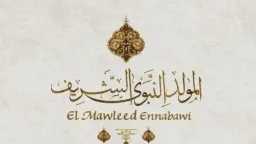 الأخبار