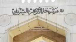 الأخبار