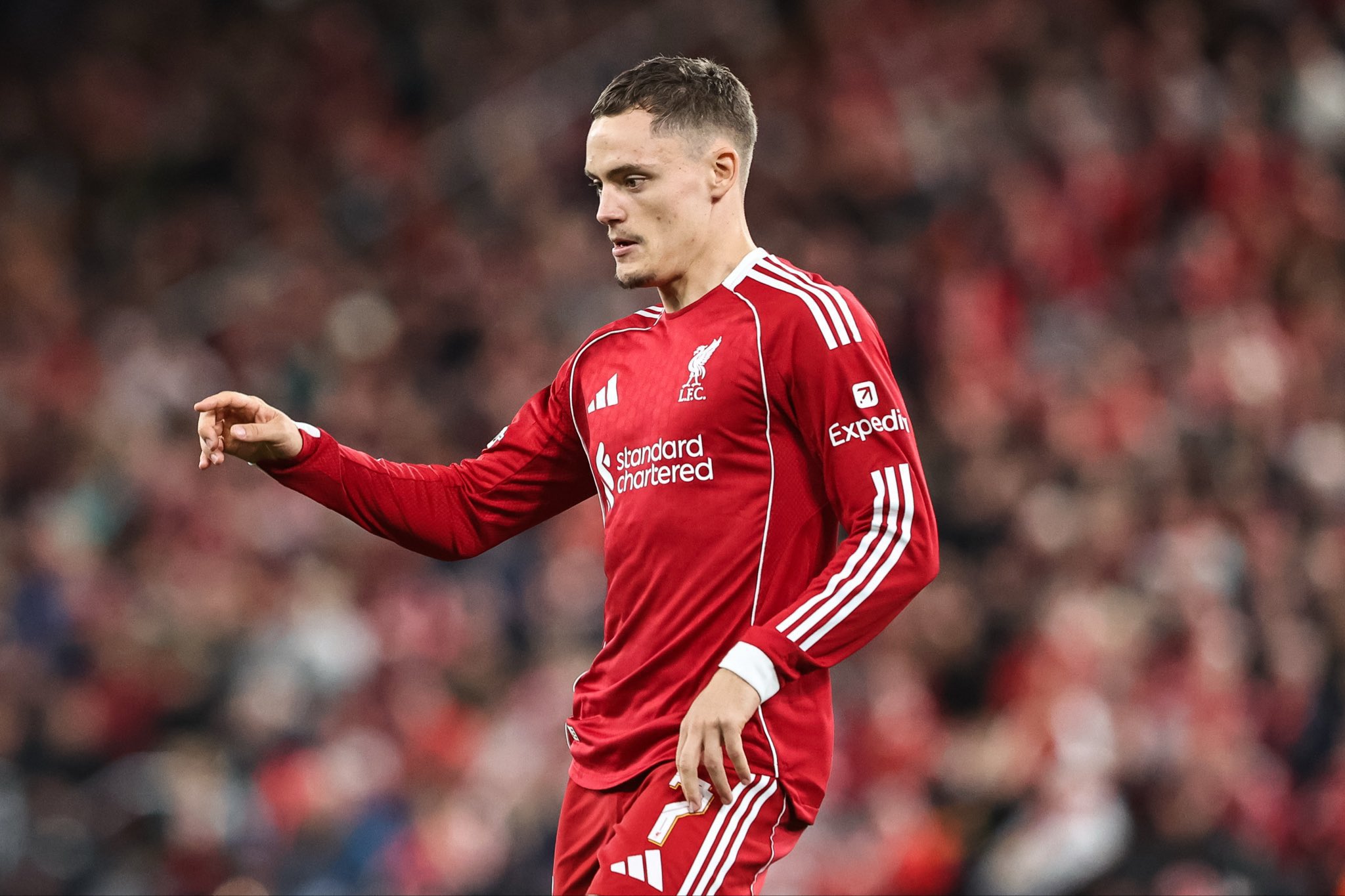 ليفربول ضد برايتون