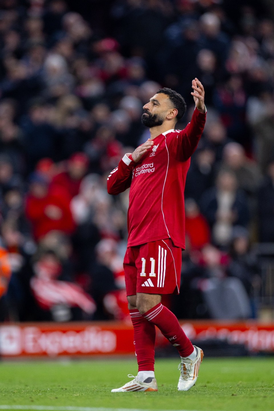 ليفربول ضد وولفرهامبتون