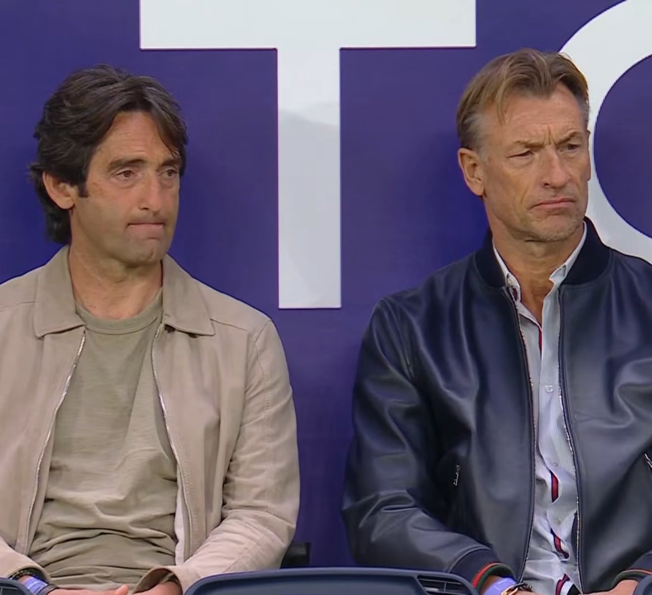 هيرفي رينارد 