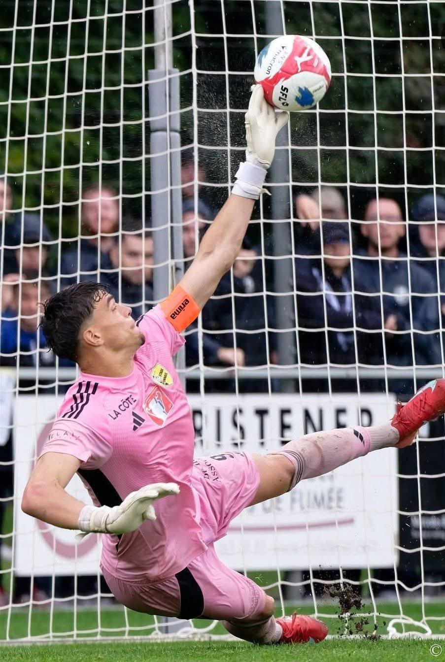 ميلفين ماستيل