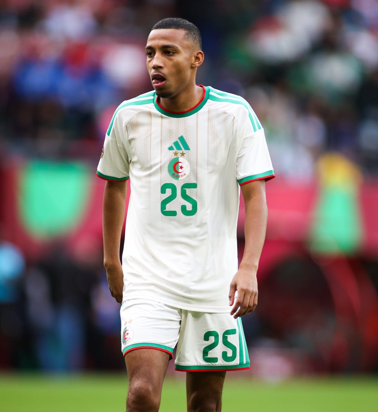 رفيق بلغالي