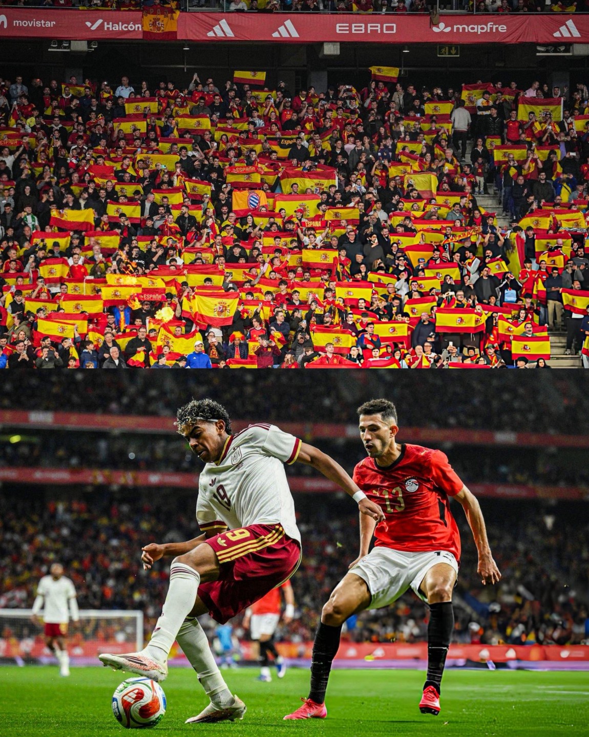 جماهير إسبانيا 