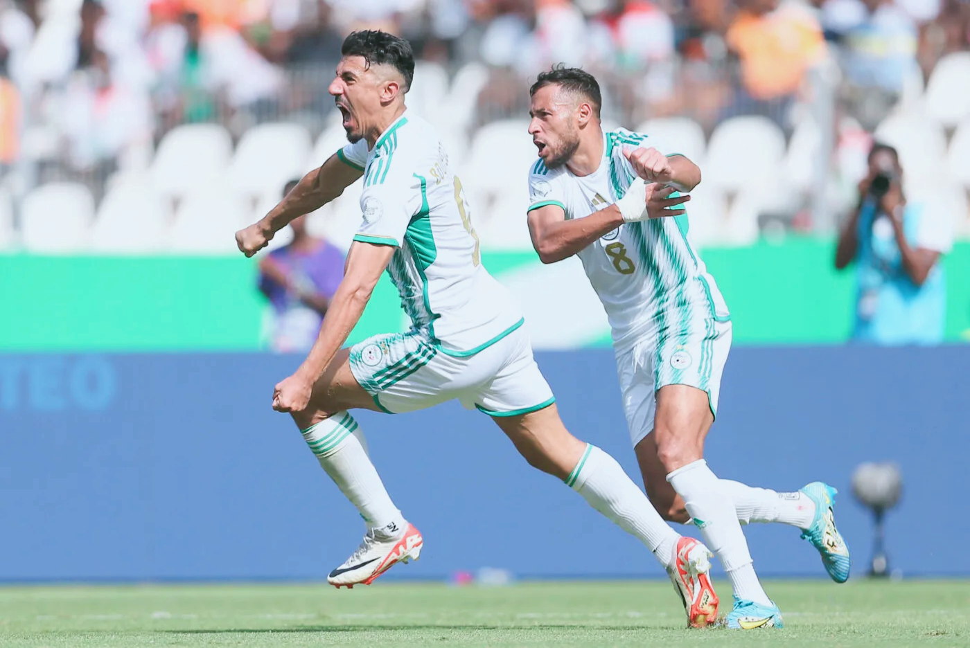 الجزائر ضد نيجيريا 