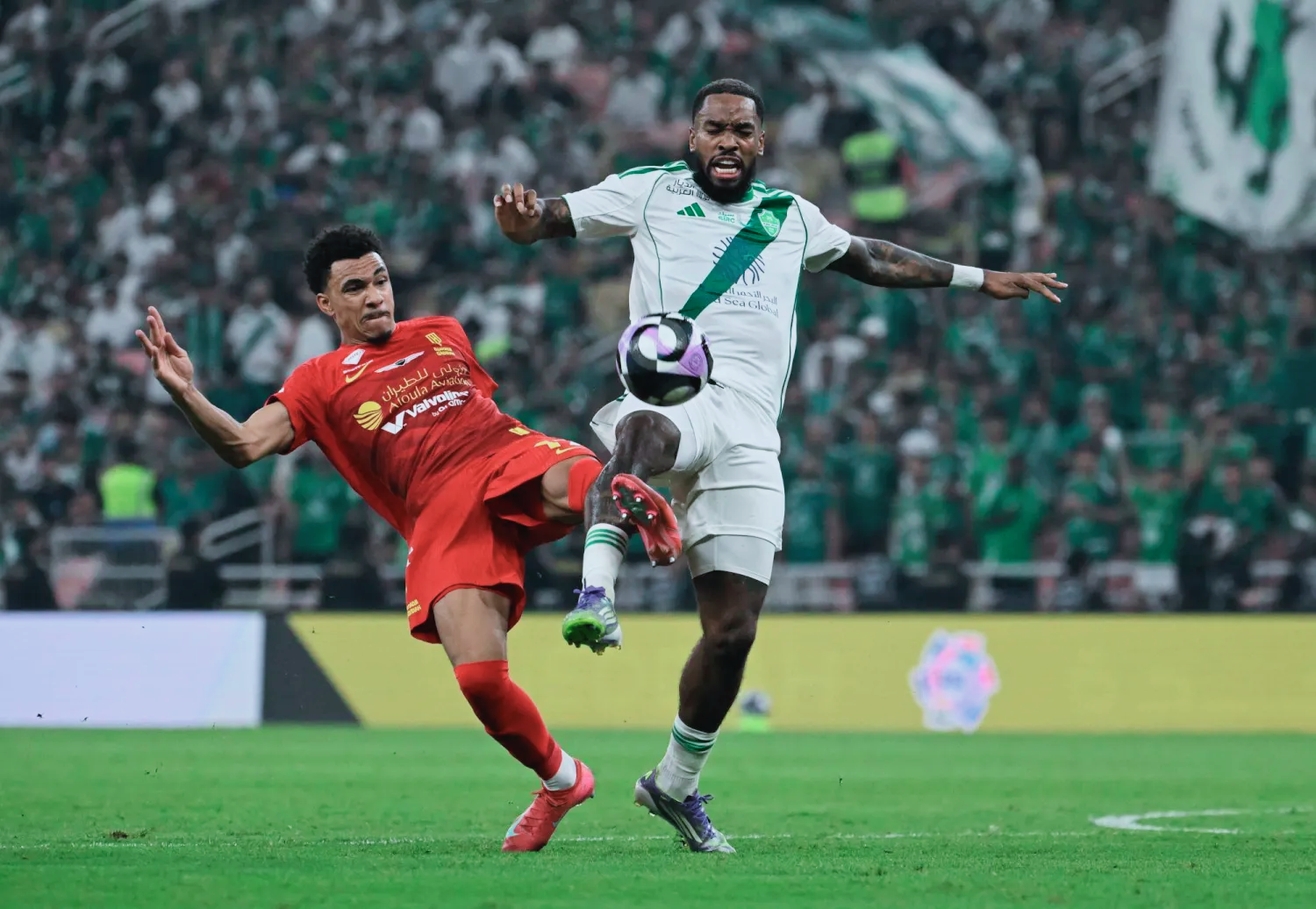 الأهلي ضد ضمك