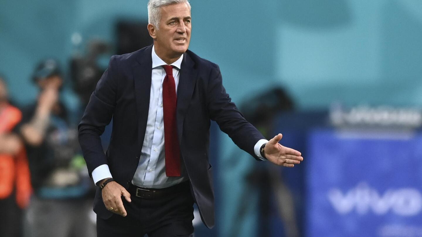 المدرب السويسري فلاديمير بيتكوفيتش 