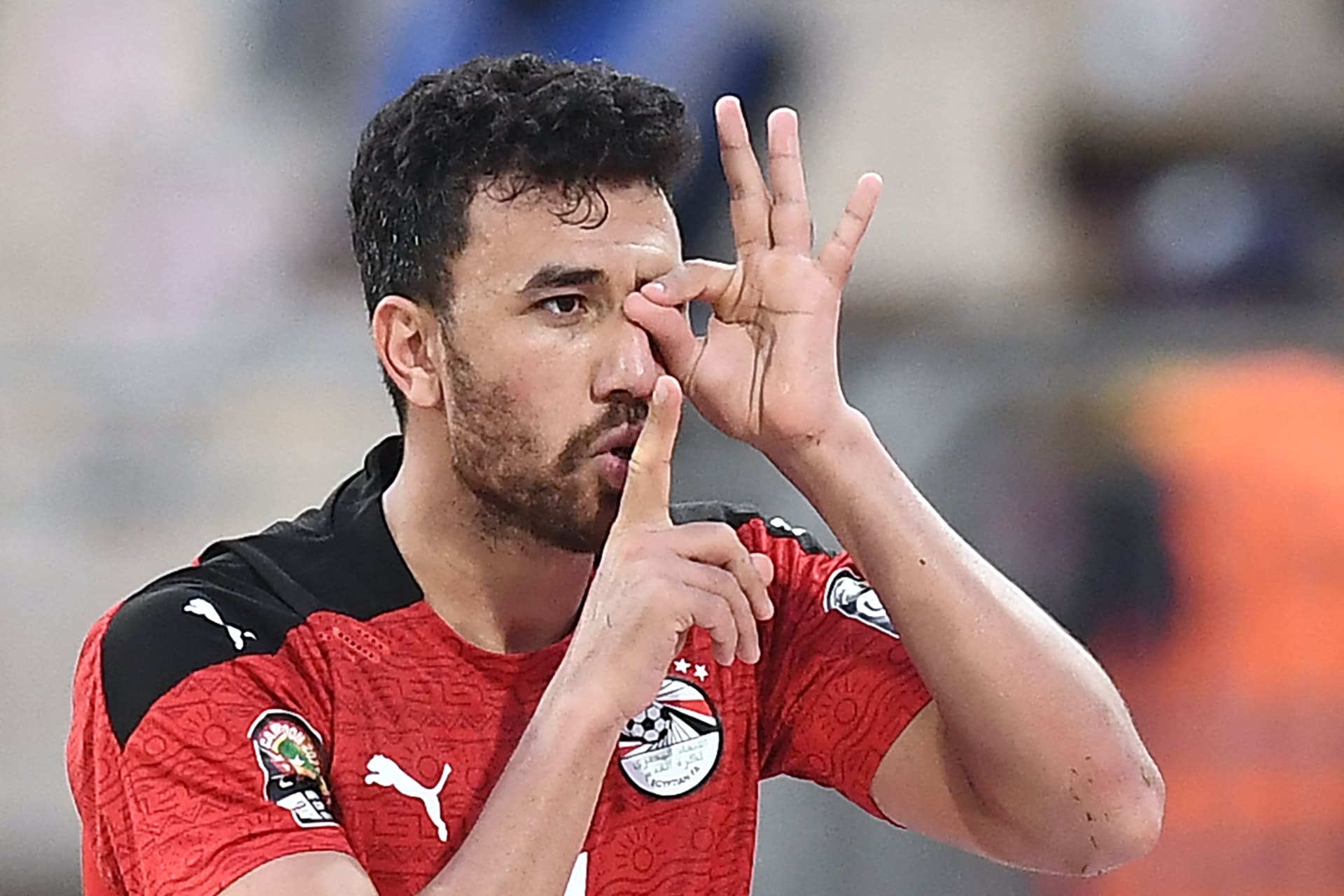 محمود تريزيجيه 