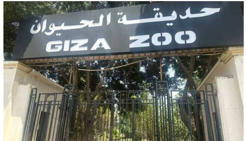 حديقة الحيوان بالجيزة