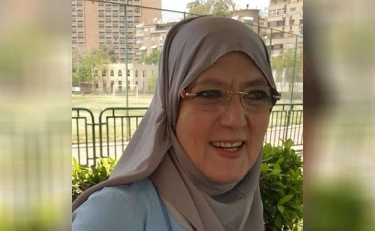 شمس البارودي