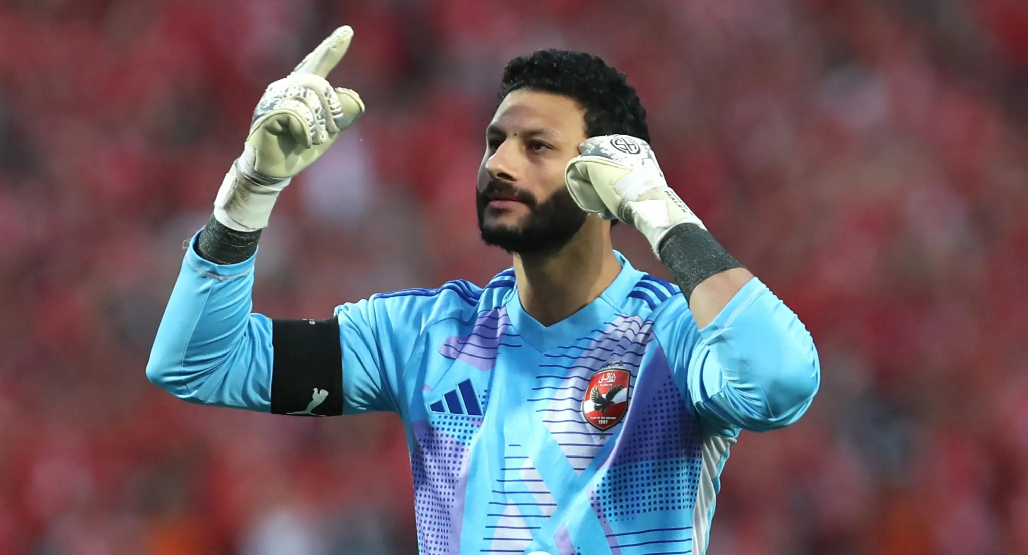 محمد الشناوي