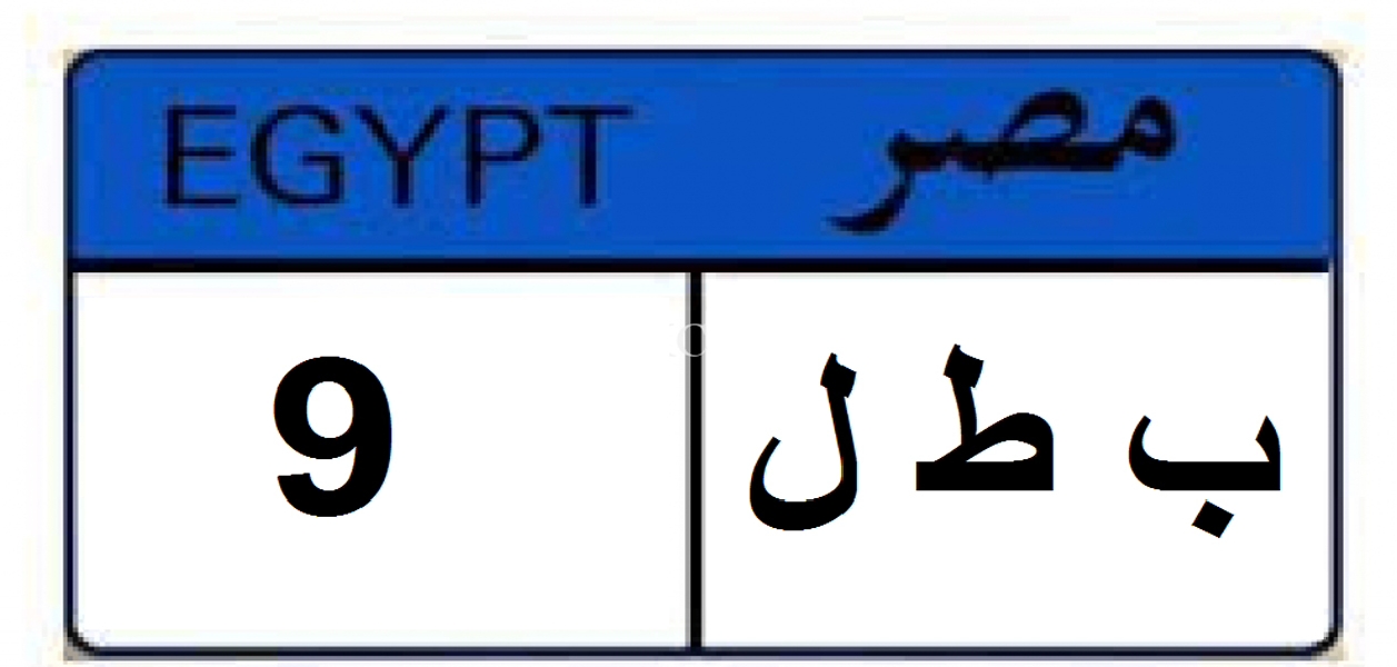 مزاد اللوحات المعدنية