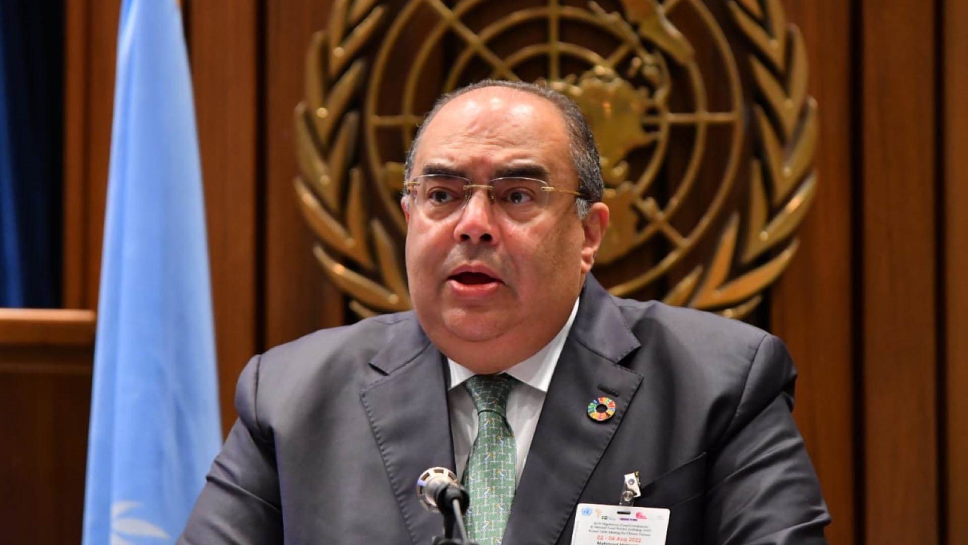 محمود محيي الدين