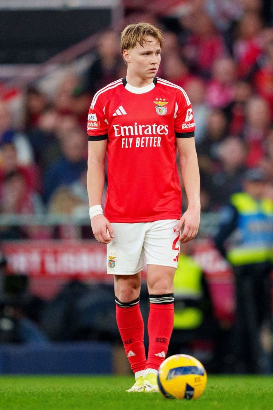 شيلدروب لاعب بنفيكا 