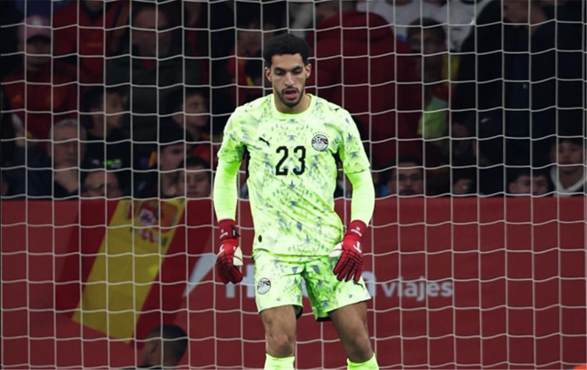 مصطفى شوبير