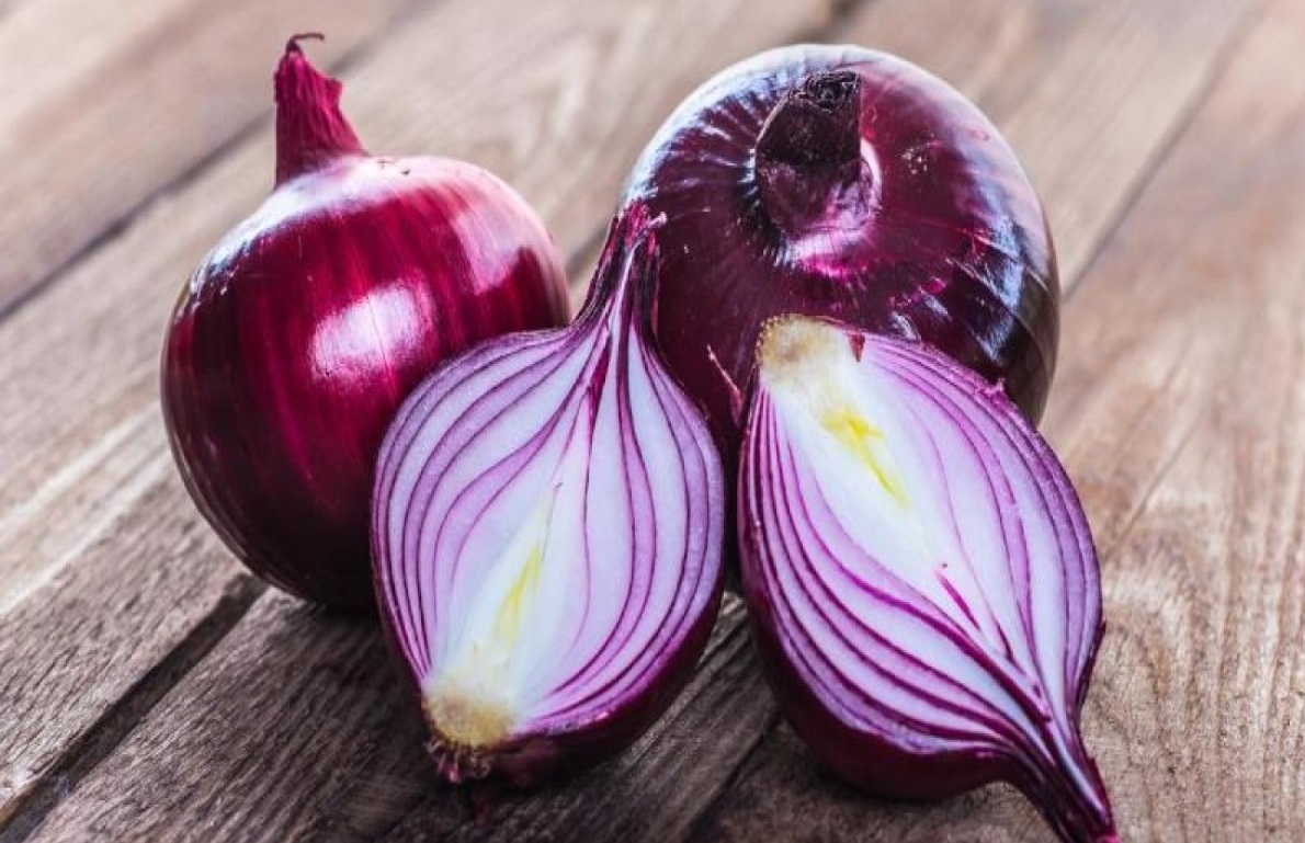 سعر الخضار اليوم