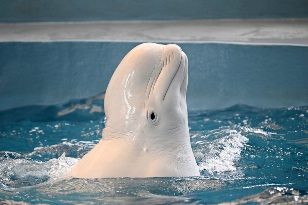 حظك برج الحوت اليوم