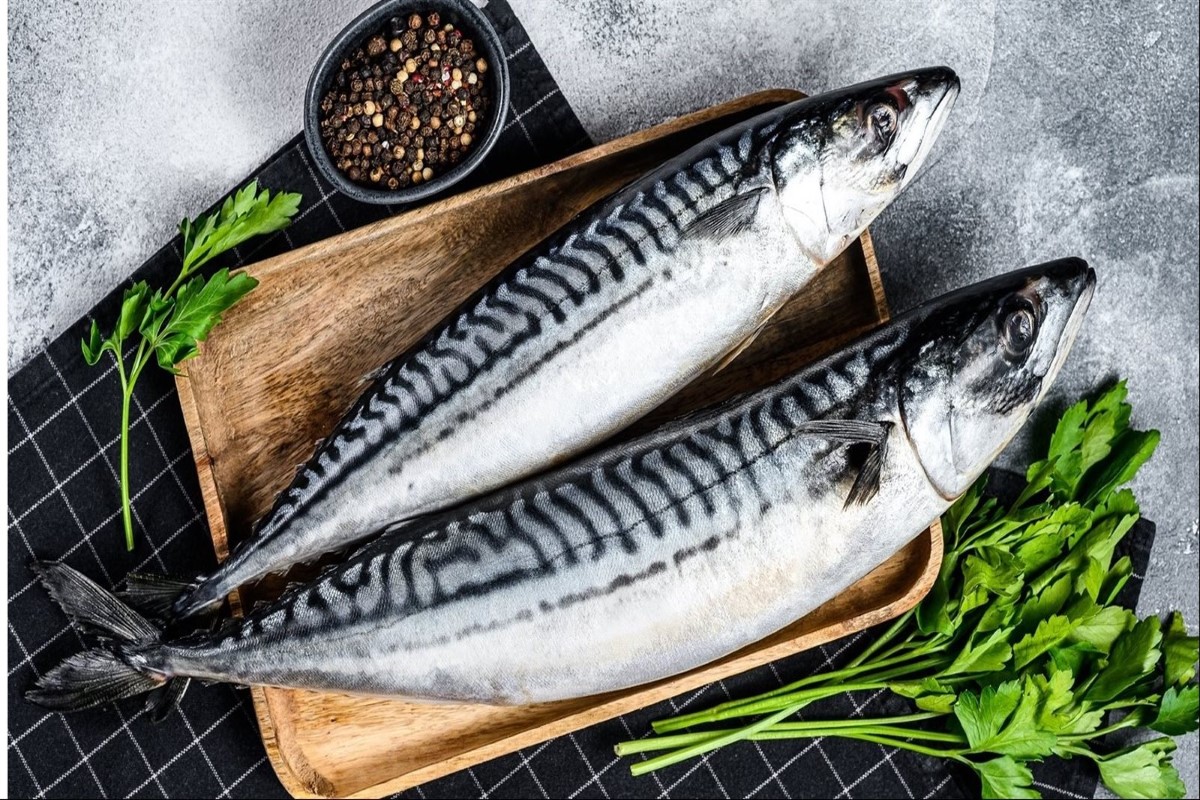 أسعار السمك اليوم للمستهلك