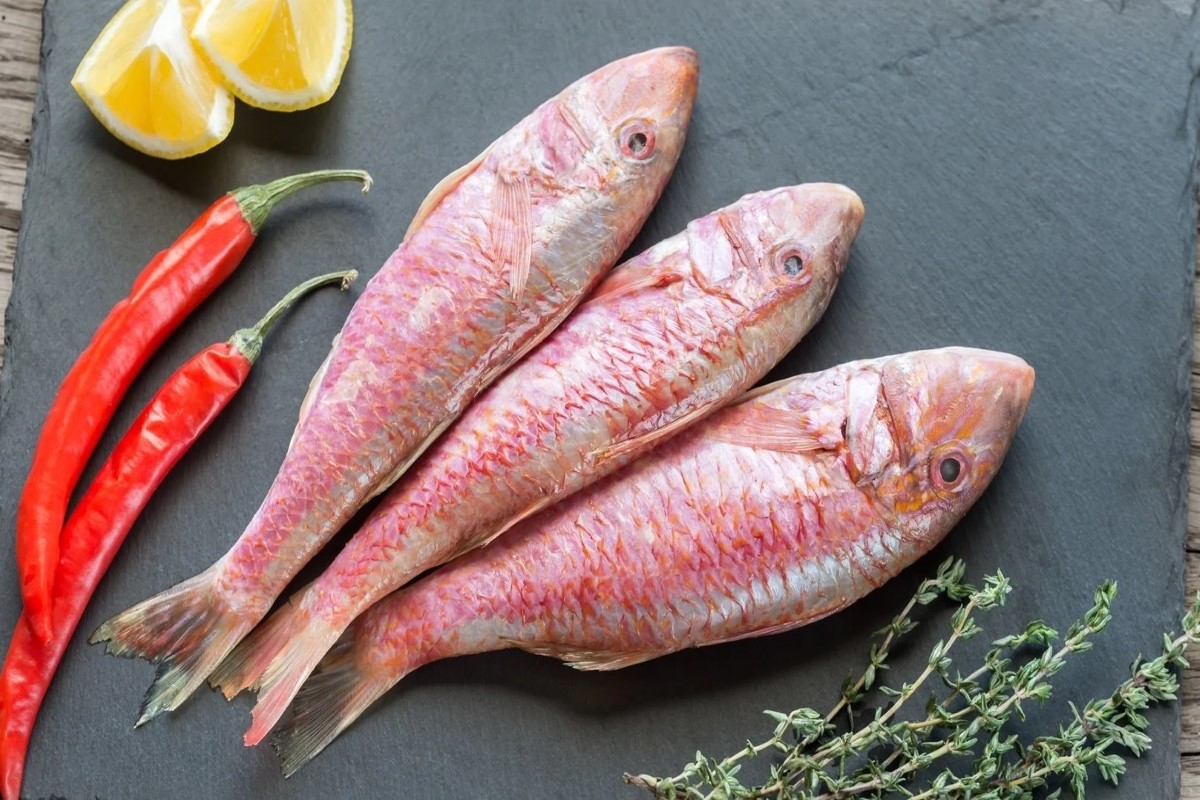 أسعار السمك اليوم للمستهلك