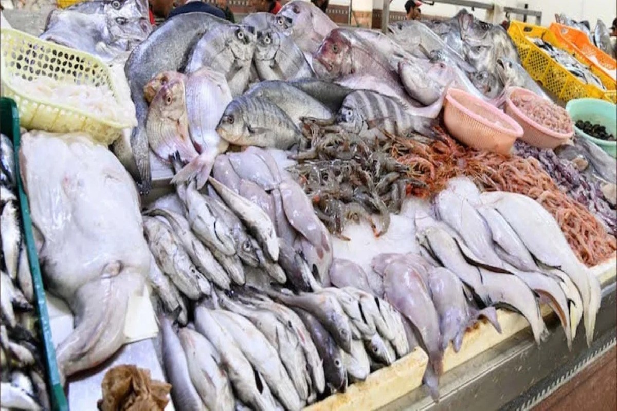 أسعار السمك اليوم للمستهلك