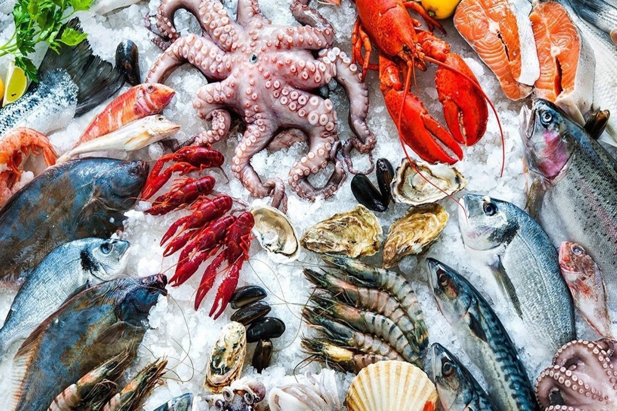 أسعار السمك اليوم للمستهلك