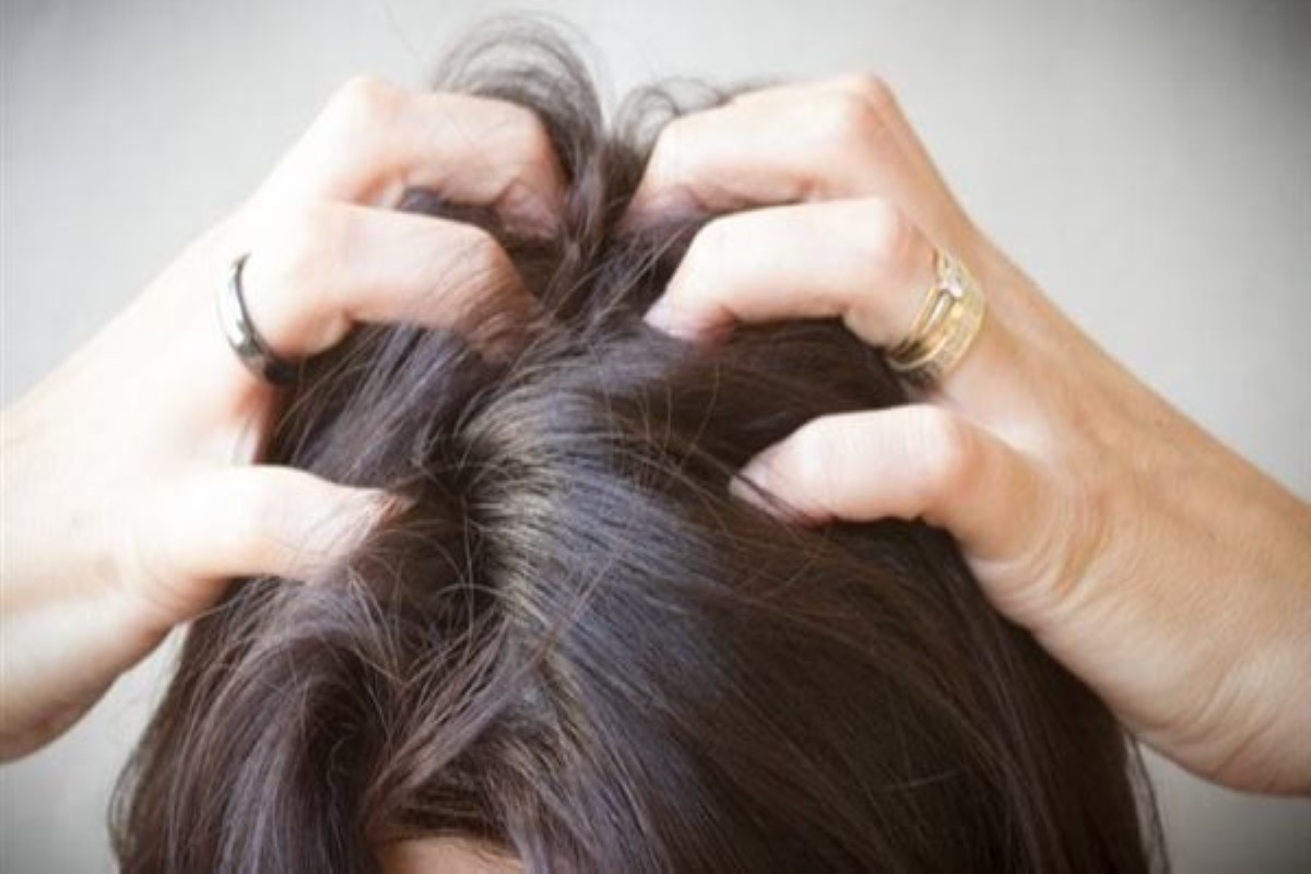 تفسير حلم اخراج القمل من الشعر وقتله 